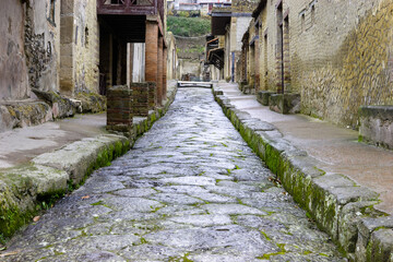 Obraz premium A cobblestone street lined with ancient stone buildings, likely in Herculaneum or Pompeii, Italy, showing the wear of time with moss growing on the stones.