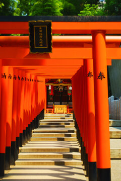 Perspective view of vermilion torii gates pathway leading to a Shinto shrine altar in Japan