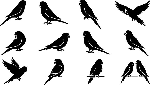 Budgerigar birds silhouette icon set, flat black glyph style, pure white background