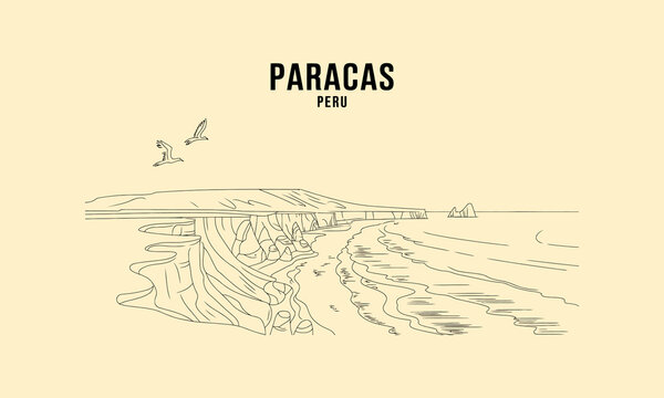 Paracas Peru Coastal Cliffs Ocean Birds Sketch vector illustration