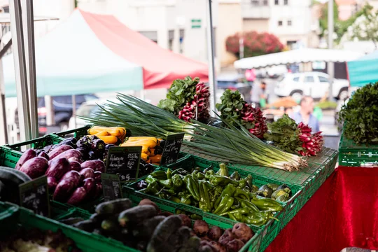 Fresh organic vegetables on Frence market stall display