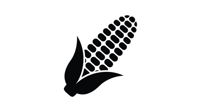 Minimalist black and white vector illustration of a single cob of corn with husks attached