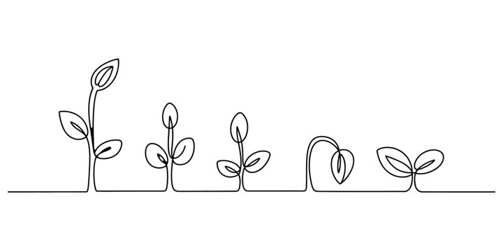 Continuous line drawing of plant growth stages from seed to small sprout