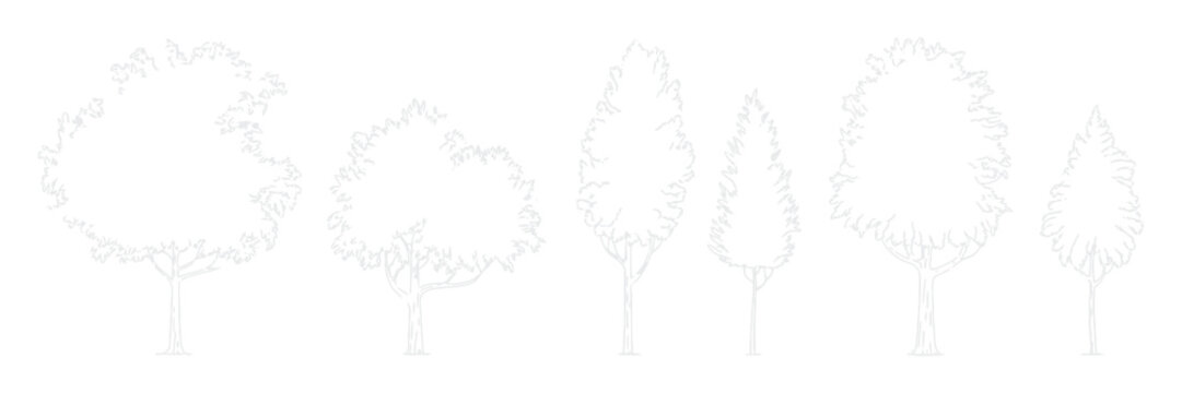 CAD tree outline, architectural linework trees, clean side view vegetation elements, landscape planning graphics, architectural design vector illustration.