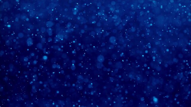 Dark blue background with white specks.