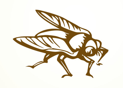 Vector drawing. Dogfly. One of the Plagues of Egypt.