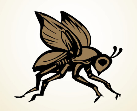 Vector drawing. Dogfly. One of the Plagues of Egypt.