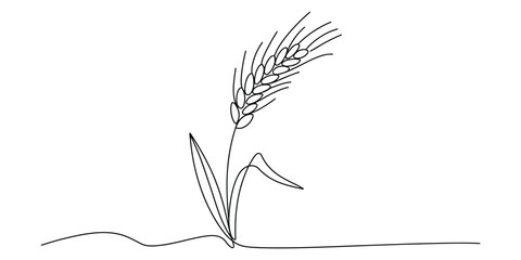 Continuous single line drawing of a wheat stalk © TuniRani