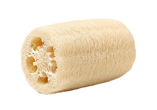 Natural dried loofah sponge section with fibrous texture and organic cylindrical shape for bath and body... isolated on a transparent background