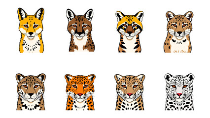 Fototapeta premium Wild Cat Collection: A vibrant collection of eight stylized wild cat illustrations, showcasing diverse feline species with distinct patterns and expressions, arranged in two rows.