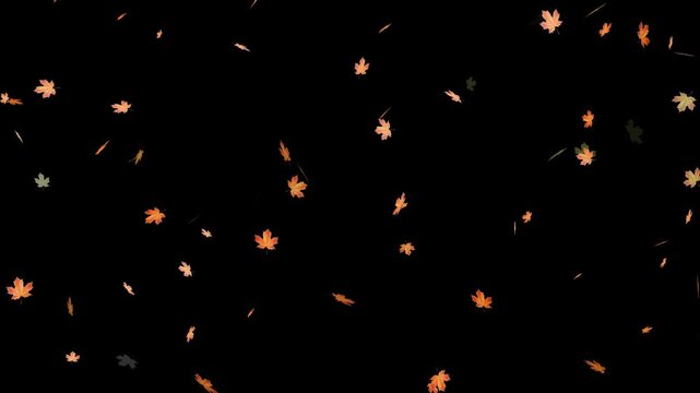 Falling autumn leaves backgrounds - isolated and loopable.Autumnal maple leaves rotation on white background. Vibrant autumn leaves gently falling. perfect for compositing, motion nature scene abstrac
