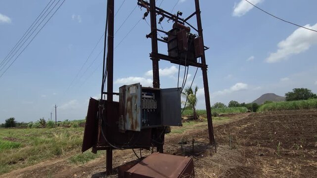 An electricity transformer powers a sustainable sugarcane plantation. Rural cultivation relies on energy resources, navigating the current energy crisis to maintain agricultural production.