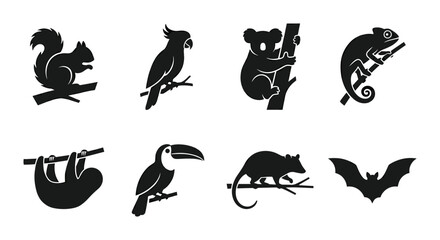 Obraz premium Diverse Wildlife Silhouettes: Squirrel, Parrot, Koala, Chameleon, Sloth, Toucan, Rat, Bat Vector Icons