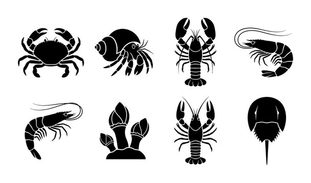 Seafood Icons Collection: Crab, Lobster, Shrimp, Barnacles, Hermit Crab, Horseshoe Crab Vector Graphics