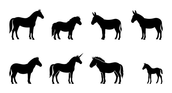 Equine Silhouettes Collection: Horses, Ponies, Donkeys, Unicorns, Foals, Farm Animals, Livestock, Mythical Creatures