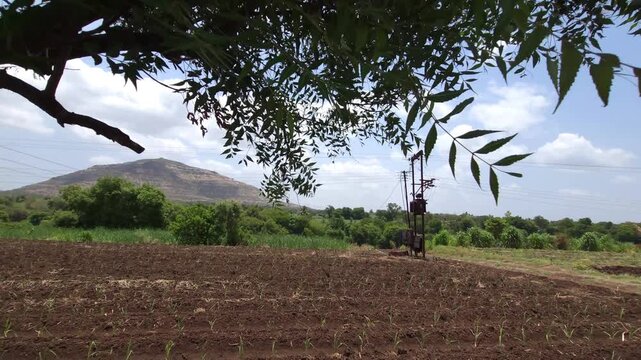 A neem tree branch frames a sustainable rural Indian farm, revealing a freshly tilled field with young crop rows, an electric transformer pole, and a distinct mountain under a cloudy blue sky.