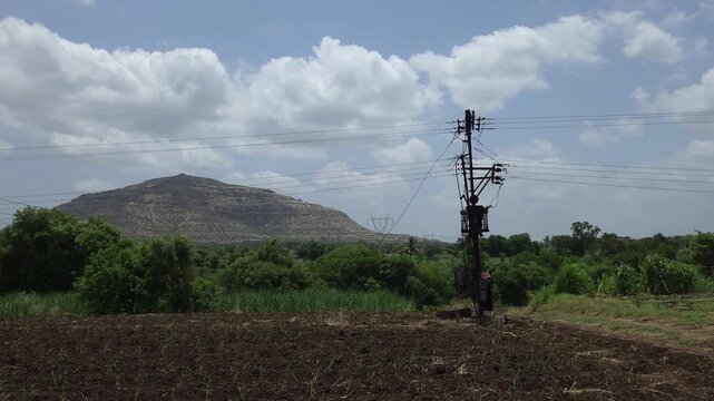 An electricity transformer stands over a fertile sugarcane plantation. This rural landscape shows the vital resource dependency linking power infrastructure to sustainable cultivation.