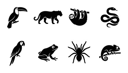 Obraz premium Tropical Wildlife Icons Set: Toucan, Panther, Sloth, Snake, Parrot, Frog, Spider, Chameleon Vector Graphics