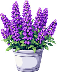 Fototapeta premium Vibrant purple lupine flowers in decorative planter, elegant botanical illustration featuring blooming lupinus blossoms and green foliage