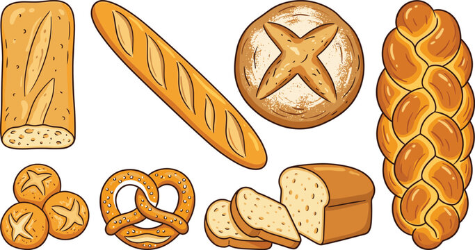 Fresh bakery loaf assortment vector set featuring traditional french baguette crusty sourdough boule braided challah ciabatta sliced sandwich bread pretzel and dinner rolls illustrations