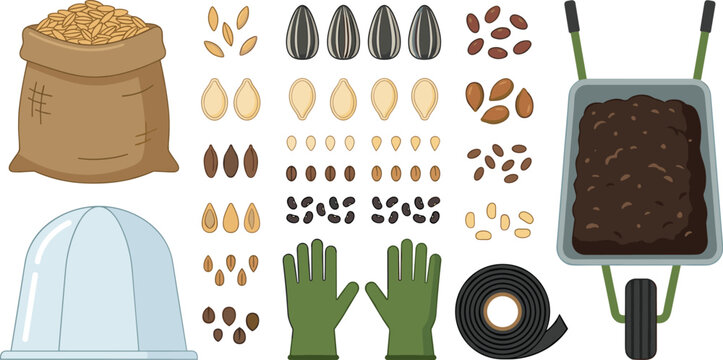Gardening and agriculture seed planting vector set featuring full burlap sack wheelbarrow with soil green work gloves cloche cover and various plant seeds