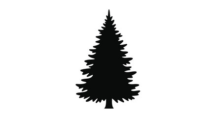 Coniferous tree silhouette against a white background silhouette © Mdarif