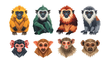 Collection of Monkey Portraits: A diverse group of eight stylized monkey portraits, showcasing various species with unique fur colors and facial features, presented against a clean background. © mahmuda428