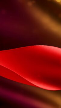 Slow motion extreme macro tracking, flawless glossy obsidian stone moving under warm lighting, 4k.