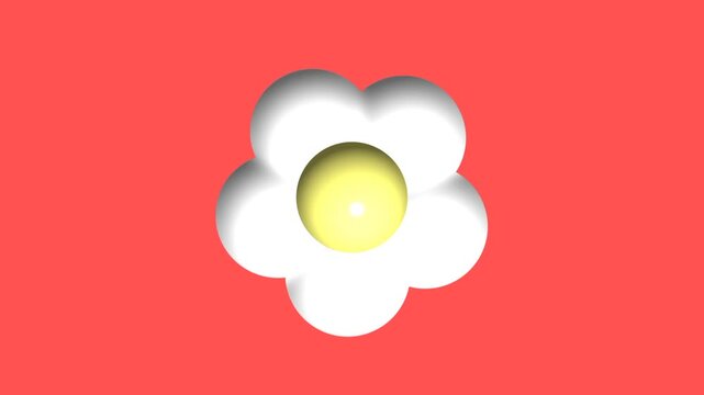 flowers animation 