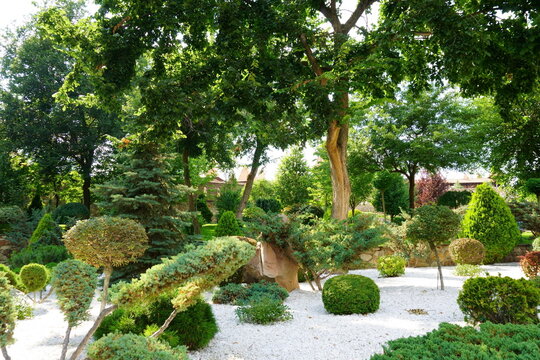 Blooming green plants and trees in the park. Loga Park.