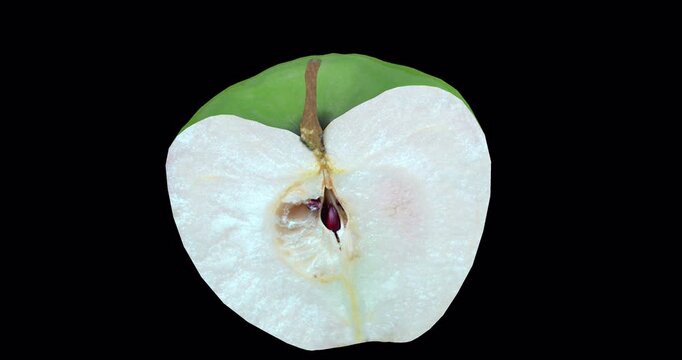 half of apple transparent 