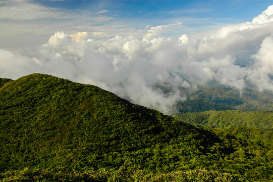 Khao Jed Yod (Seven Hills)  is the highest peak of the Banthat mountain range. It is covered in tropical rainforest and forms a boundary between Trang and Phatthalung provinces. Thailand.
