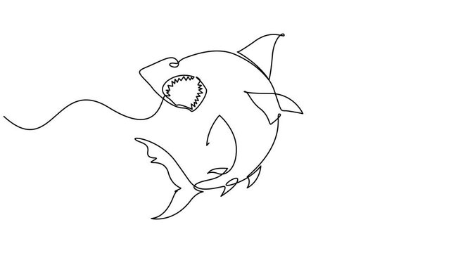 Animated self drawing of continuous line draw aggressive shark, Self drawing simple animation of continuous one line drawing. 4k video