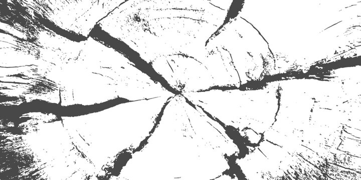 Macro texture of a cracked wood cross section showing detailed tree rings and timber grain vector illustration.