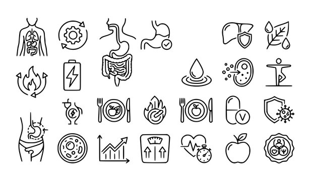 Metabolism and Body Health Outline Icon Set with Detox Digestion and Wellness Symbols Editable Stroke Vector