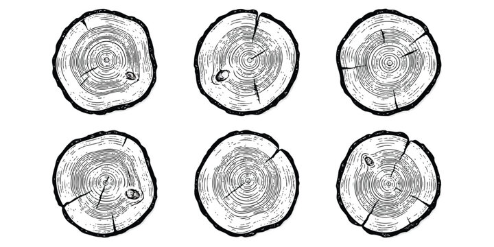 Set of hand drawn wooden log cross sections with tree rings and circular texture patterns isolated on white background