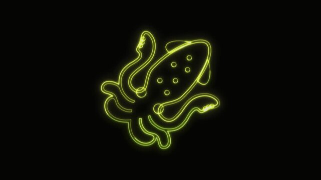  Squid Icon Neon Seamless Loop 4K with Black Background Animated Promotional Typography for Video Editing