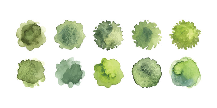 Set of ten green watercolor trees seen from above for landscape design and architectural plans isolated on white background
