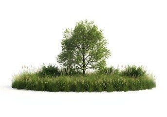 Fototapeta premium Small nature island with a tree and tall grass. Micro environment and ecosystem concepts. Single green tree surrounded by wild meadow vegetation