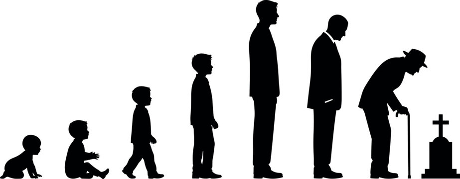 Human Life Cycle Silhouette Vector Illustration showing Evolution of Man from Baby Child Teenager Adult Elderly to Grave for Aging Concept DesignsHuman Life Cycle Silhouette Vector Illustration showin