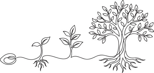 Tree growth stages, continuous line drawing seed, sprout, and mature tree with roots, vector illustration © Mostakim72