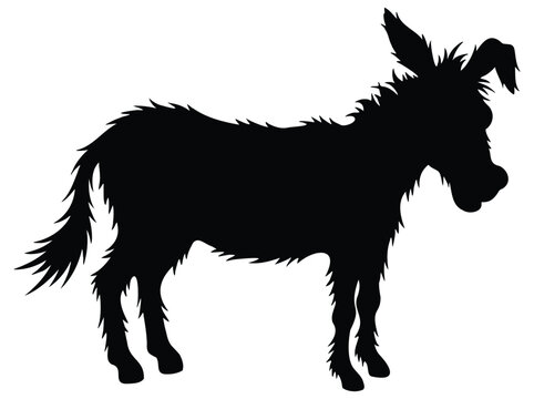 Detailed donkey silhouette with shaggy fur and distinctive ears, isolated on a white background. High-quality vector illustration suitable for farm animal designs, agriculture projects, logos, 