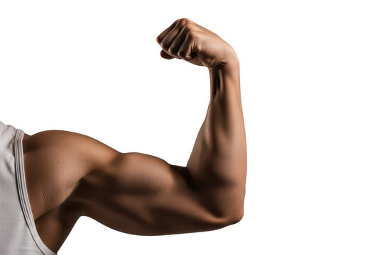 Closeup of a muscular mans arm flexing his bicep isolated on transparent background