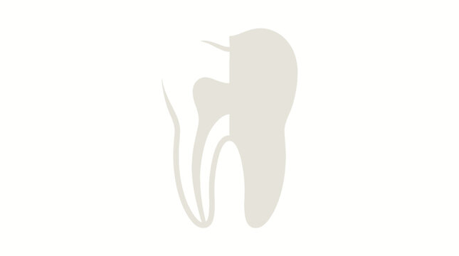 A detailed illustration of a nose organ with internal airway, simplified and clean