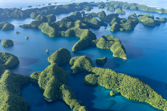 Chelbacheb Islands also known as Rock Islands, Palau, Koror, Micronesia