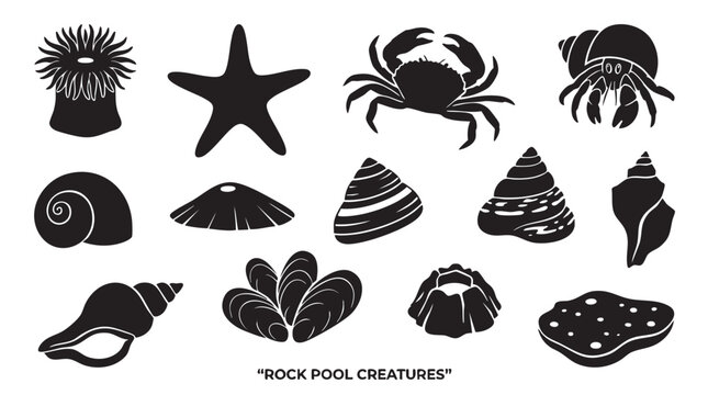 Rock pool creatures vector silhouettes set including crab starfish shells and sea anemone on white background.