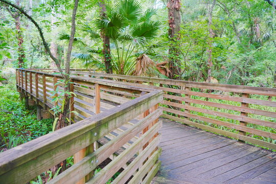 Boardwalk of Eureka Springs Park in Tampa, Florida, USA