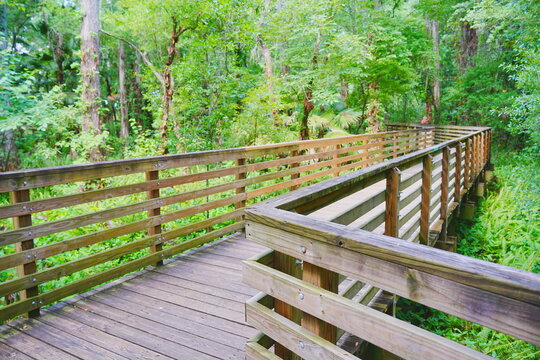 Boardwalk of Eureka Springs Park in Tampa, Florida, USA