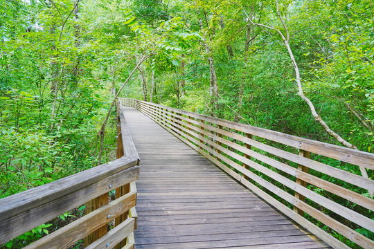 Eureka Springs Park in Tampa, Florida, USA