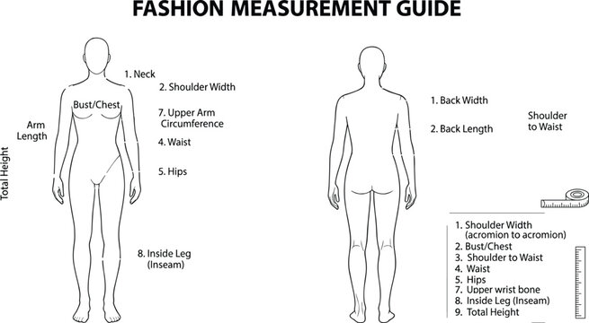 Fashion measurement guide infographic featuring human body anatomy and essential dimensions for professional clothing design and tailoring